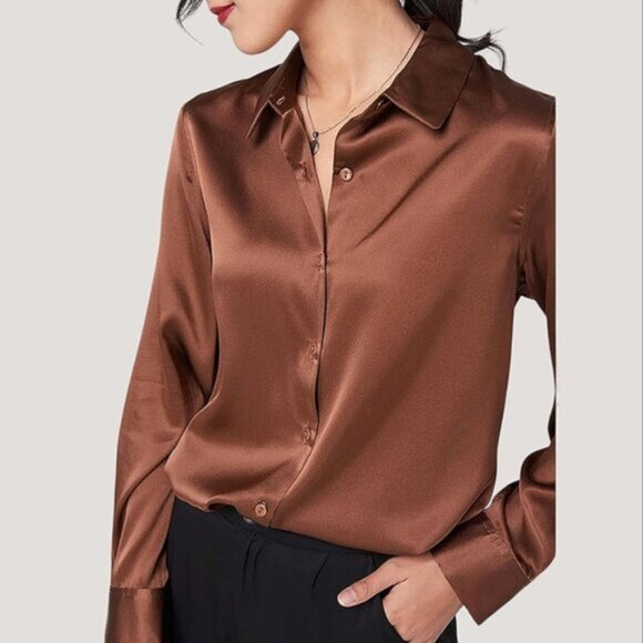 Velvet Heart Satin Brown Bronze Epicurean Relaxed Dress Shirt Business- NWT - Picture 5 of 11